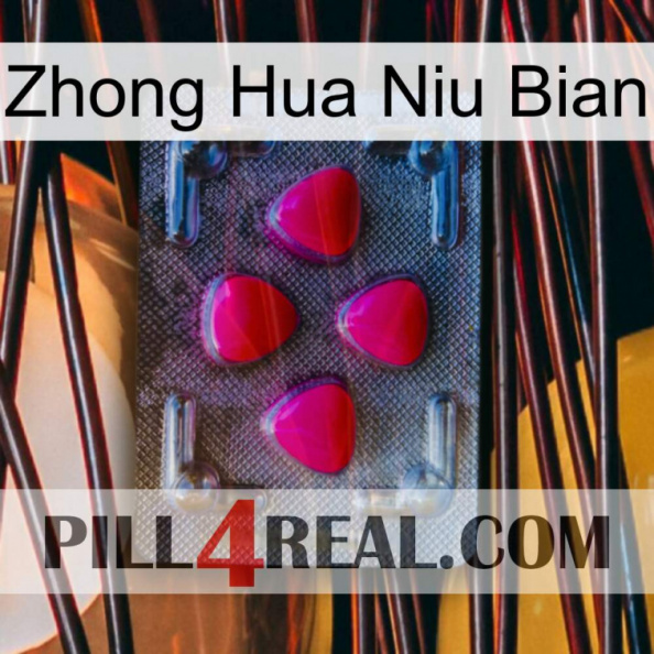 Zhong Hua Niu Bian 13.jpg